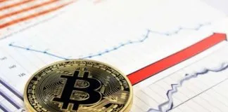 Métricas de Pérdidas y Ganancias para predecir Bitcoin Bitcoin