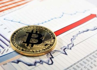 Métricas de Pérdidas y Ganancias para predecir Bitcoin Bitcoin