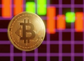 Guía educativa para aprendices sobre ¡Bitcoin! Bitcoin guía