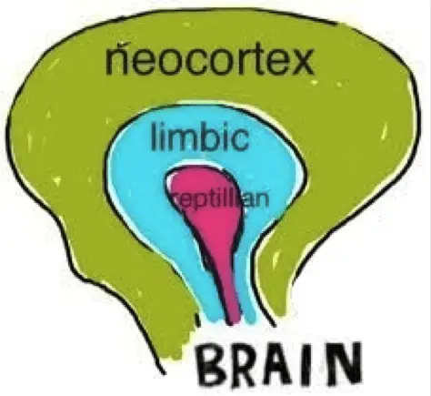 CD2
