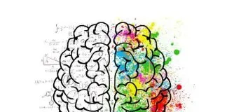 Cómo mejorar la memoria con 5 tips increíblemente fáciles. Cómo mejorar la memoria