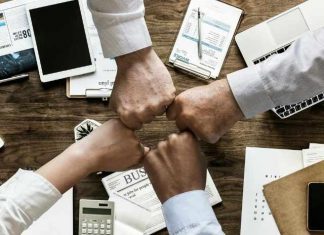 Qué es cultura organizacional y por qué es importante tenerla. Cultura organizacional