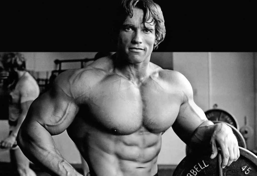 FRASES DE Arnold Schwarzenegger