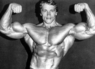 45 Frases de Arnold Schwarzenegger para inspirarte a ser mejor. Frases Arnold Schwarzenegger