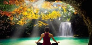 30 Frases de Deepak Chopra para alimentar el espíritu. Frases de Deepak Chopra