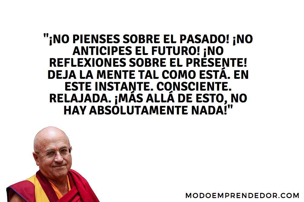 Frases de Matthieu Ricard 3