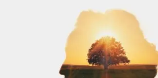 100+ frases de superación personal para hallar fuerza interior Frases de superación personal