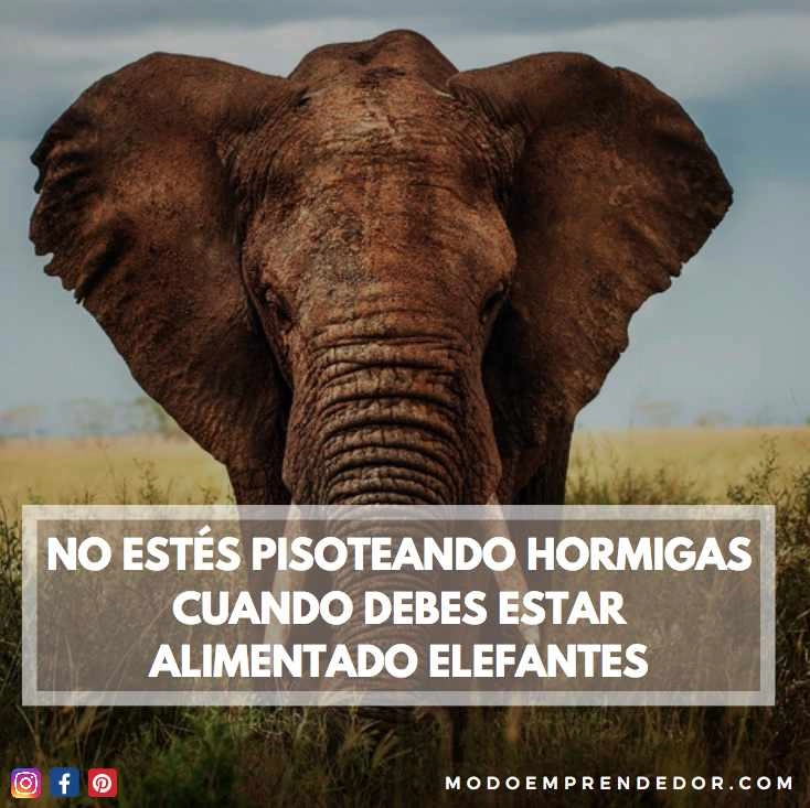 Frases motivadoras 55