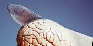 15 hábitos que dañan el cerebro sin darte cuenta. Hábitos que dañan el cerebro