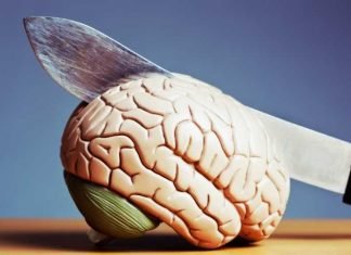 15 hábitos que dañan el cerebro sin darte cuenta. Hábitos que dañan el cerebro