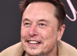 Historia de Elon Musk: El visionario creador de Tesla y Space X Historia de Elon Musk