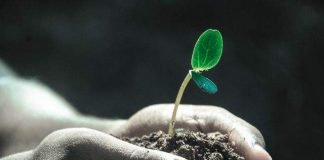 52 lecciones de la vida para que vivas al máximo cada día Lecciones de la vida