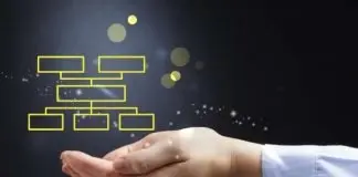 Organizadores gráficos: Qué son, 15 tipos y cómo crearlos. Organizadores gráficos