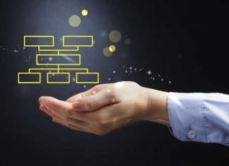 Organizadores gráficos: Qué son, 15 tipos y cómo crearlos. Organizadores gráficos