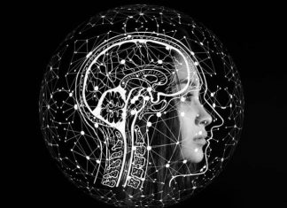 Pensamiento crítico: cómo desarrollarlo y aplicarlo en tu vida Pensamiento crítico