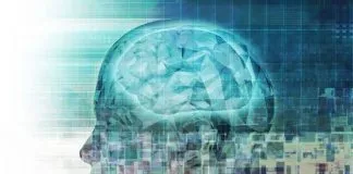 Programación Neurolingüística PNL: Qué es y cómo te puede ayudar Programación neurolingüística