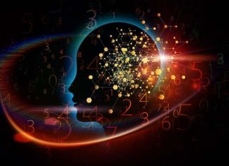 Según la ciencia este hábito aumenta tu coeficiente intelectual aumenta tu coeficiente intelectual