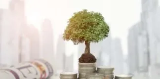 3 pasos para aprender cómo invertir si tienes poco dinero. cómo invertir si tienes poco dinero