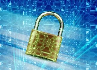 5 tips para aprender cómo proteger tu negocio digital. cómo proteger tu negocio digital