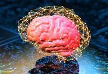 Qué es la computación cuántica y cómo va a cambiar el futuro. computación cuántica