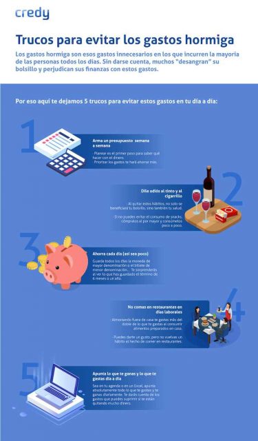 credy-infographic ant expenses