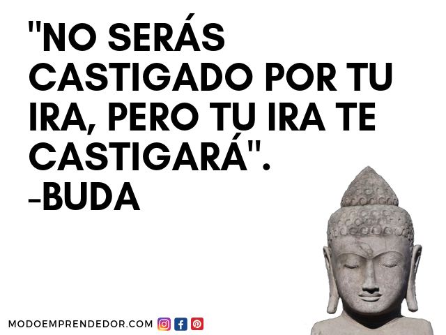 frases de buda 50