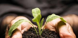 15 leyes de crecimiento personal para alcanzar tu máximo. leyes de crecimiento