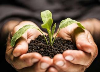 15 leyes de crecimiento personal para alcanzar tu máximo. leyes de crecimiento