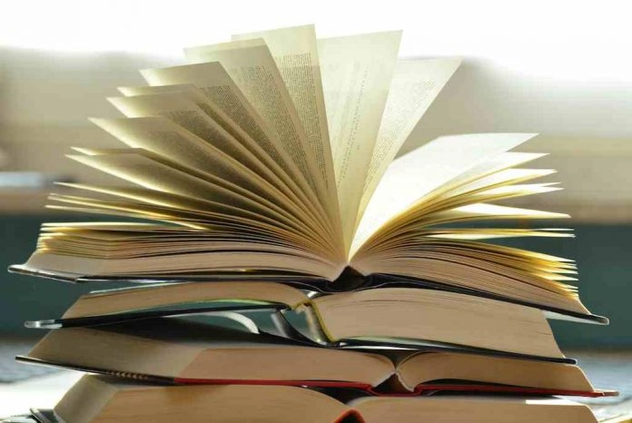 libros en español para emprendedores