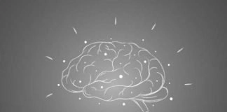 5 actividades que van a mejorar la salud de tu cerebro mejorar la salud de tu cerebro