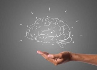 5 actividades que van a mejorar la salud de tu cerebro mejorar la salud de tu cerebro