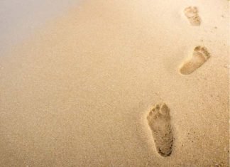 6 pasos para cambiar tu vida según John C. Maxwell. pasos para cambiar tu vida