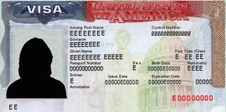 Opciones de visa estadounidense para emprendedores. opciones de visa