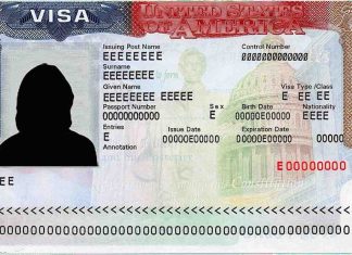 Opciones de visa estadounidense para emprendedores. opciones de visa